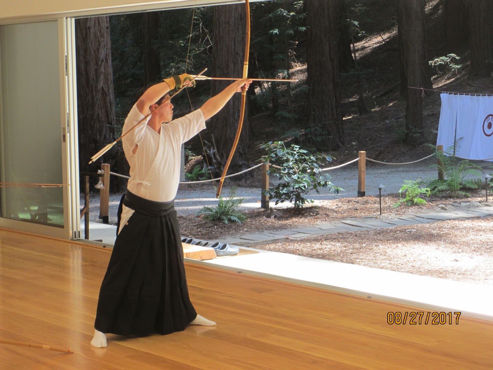 zen archery