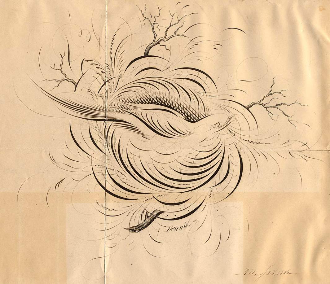 Anne Elser: Birds & Flourishing Calligraphy Workshop with Bill Kemp