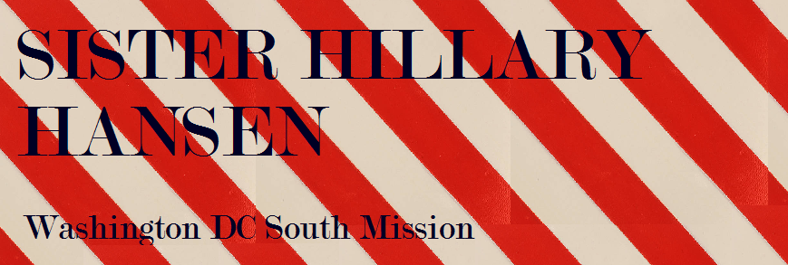 Sister Hillary Hansen: Washington DC South Mission