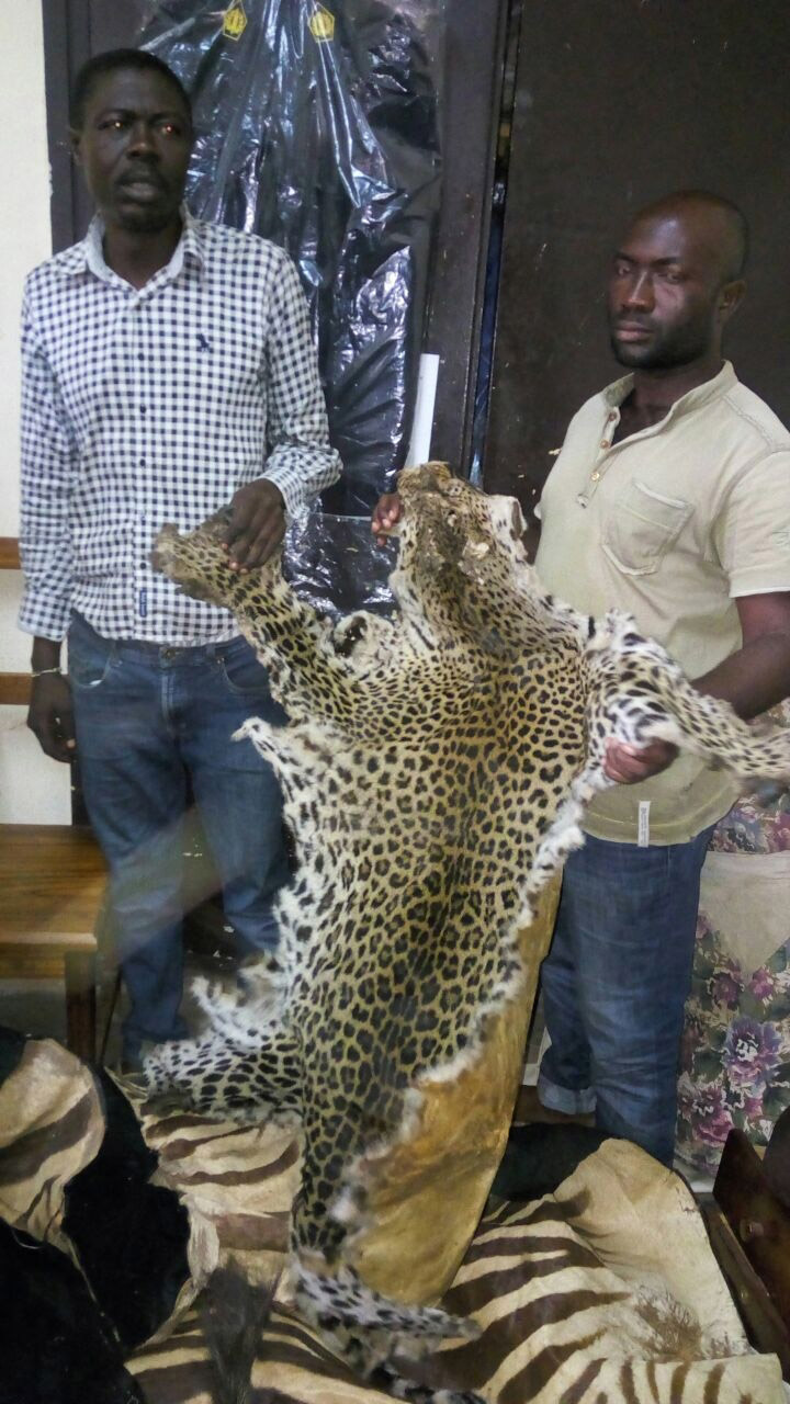 The Median Newspaper Yaounde