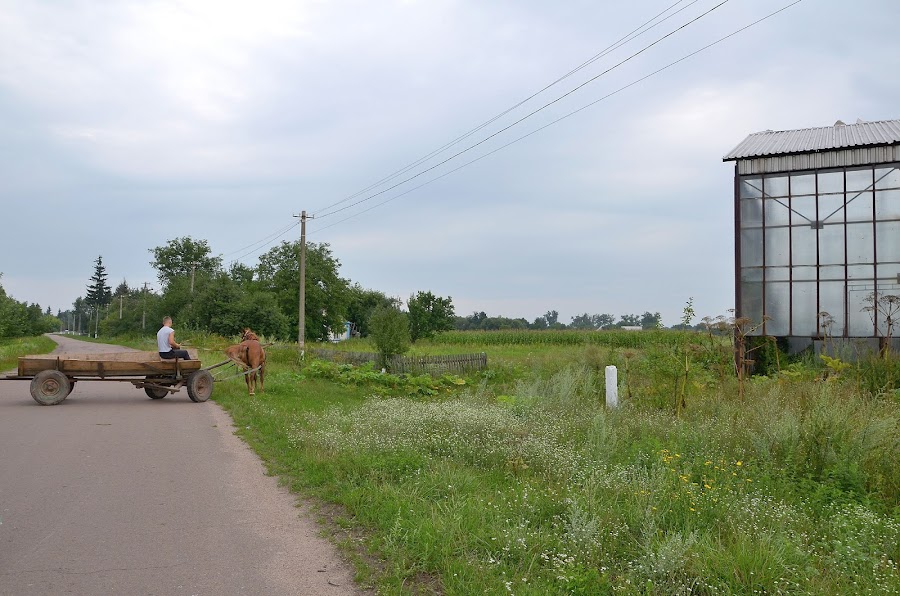 Село Вересы