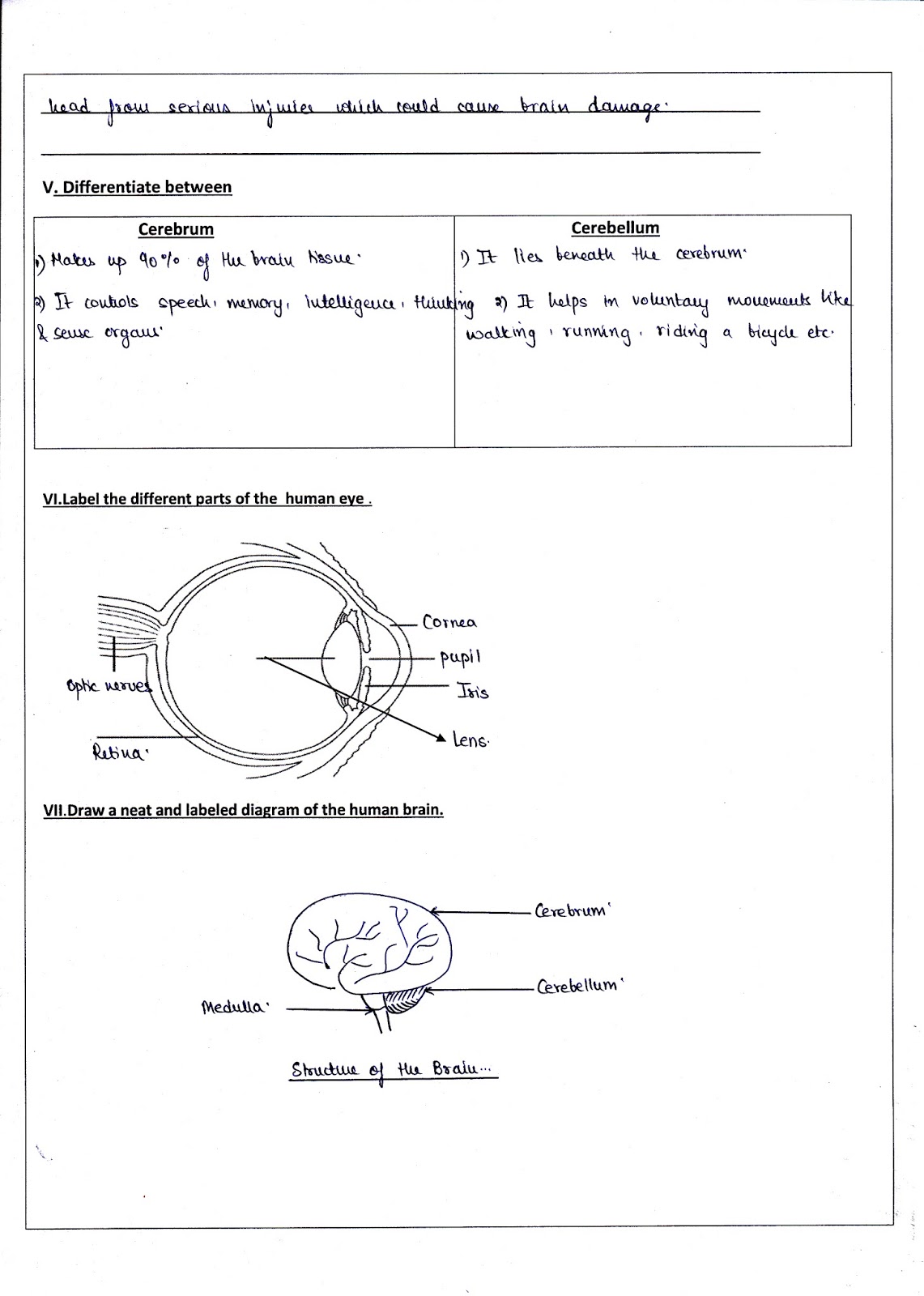 Science@DPSkamal: Grade 5 - Answer Key of all Revision Worksheets