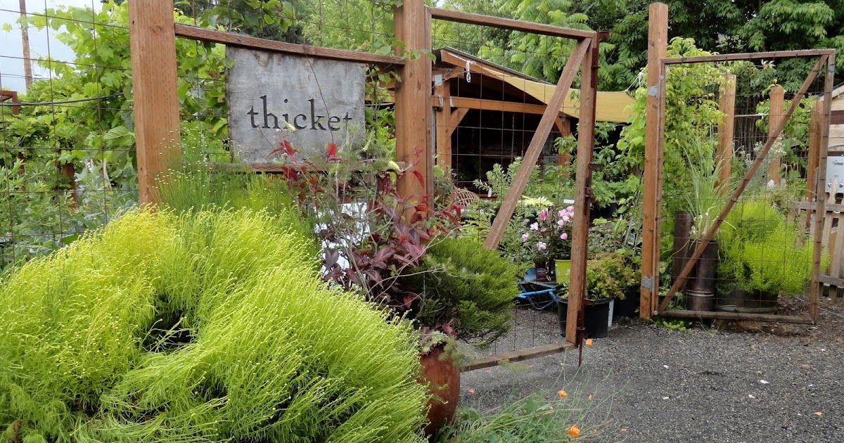 danger garden Thicket on Alberta, it's been too long...