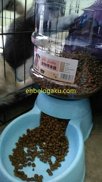 pet feeders, bekas makanan kucing, 