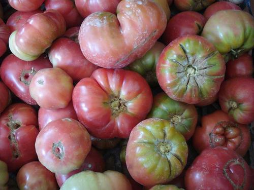 la verdadera ignorancia: 2012