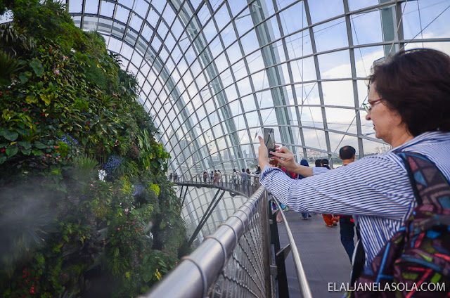 Singapore | Gardens by the Bay