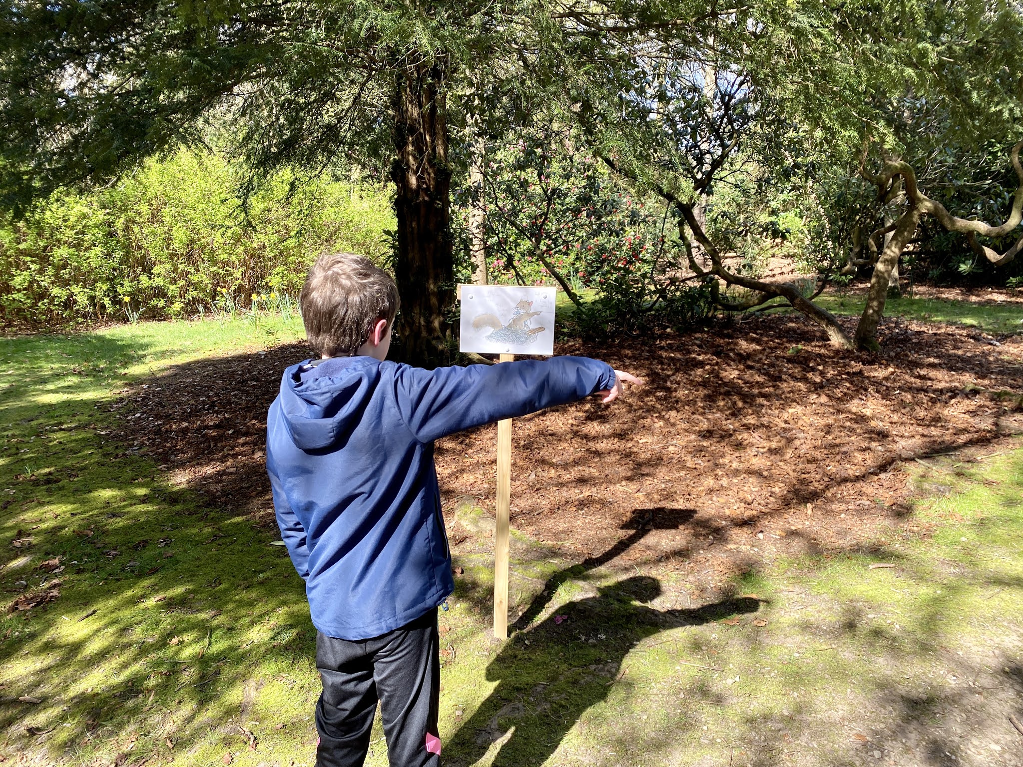 boy pointing in a direction of a path
