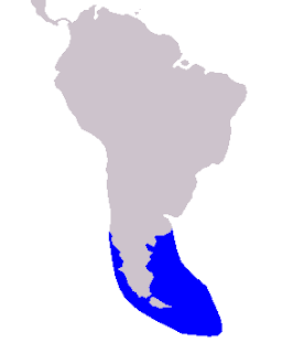 Siyah çeneli yunus doğal yaşam alanı haritası
