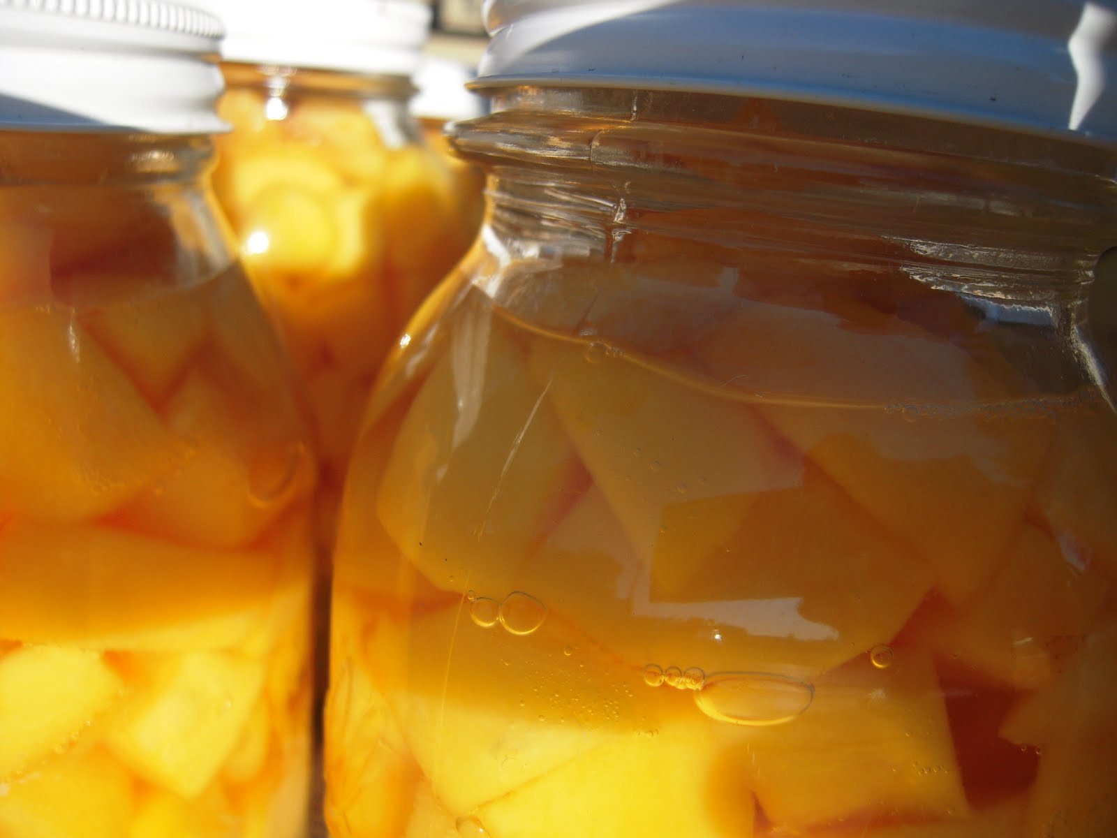 Thrifty Pals Canning PeachesRed Haven or Baby Gold!