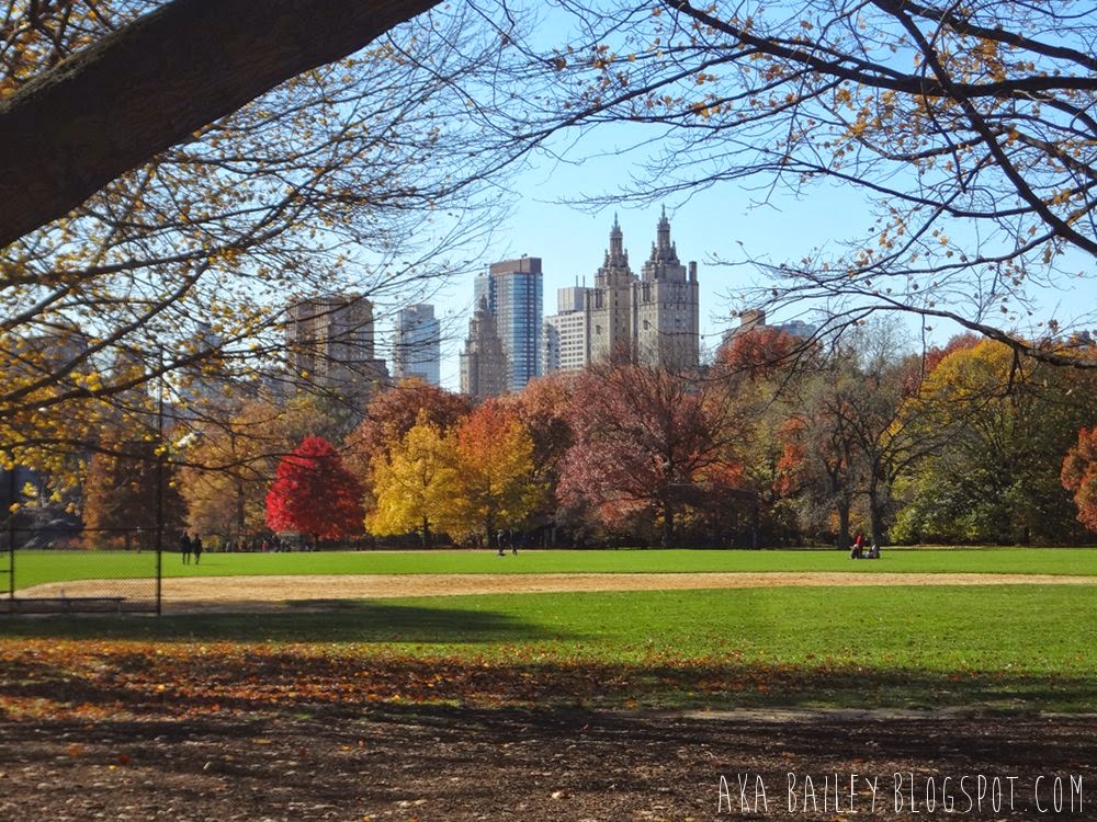 View of buildings around Central Park in the fall