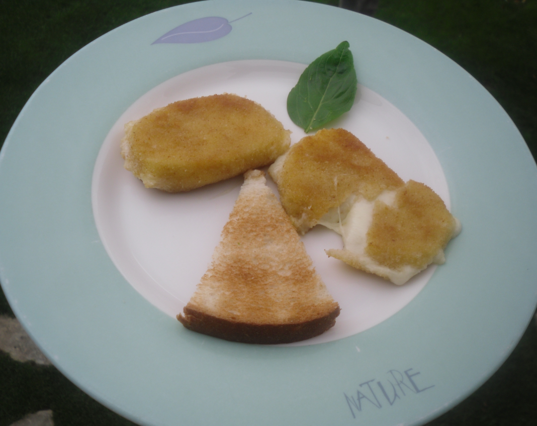 LA COCINA PLURAL MOZARELLA EMPANADA