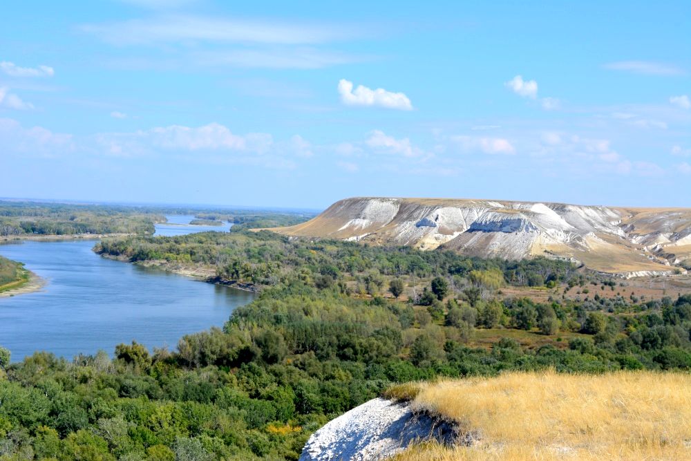 Донской парк Донской парк
