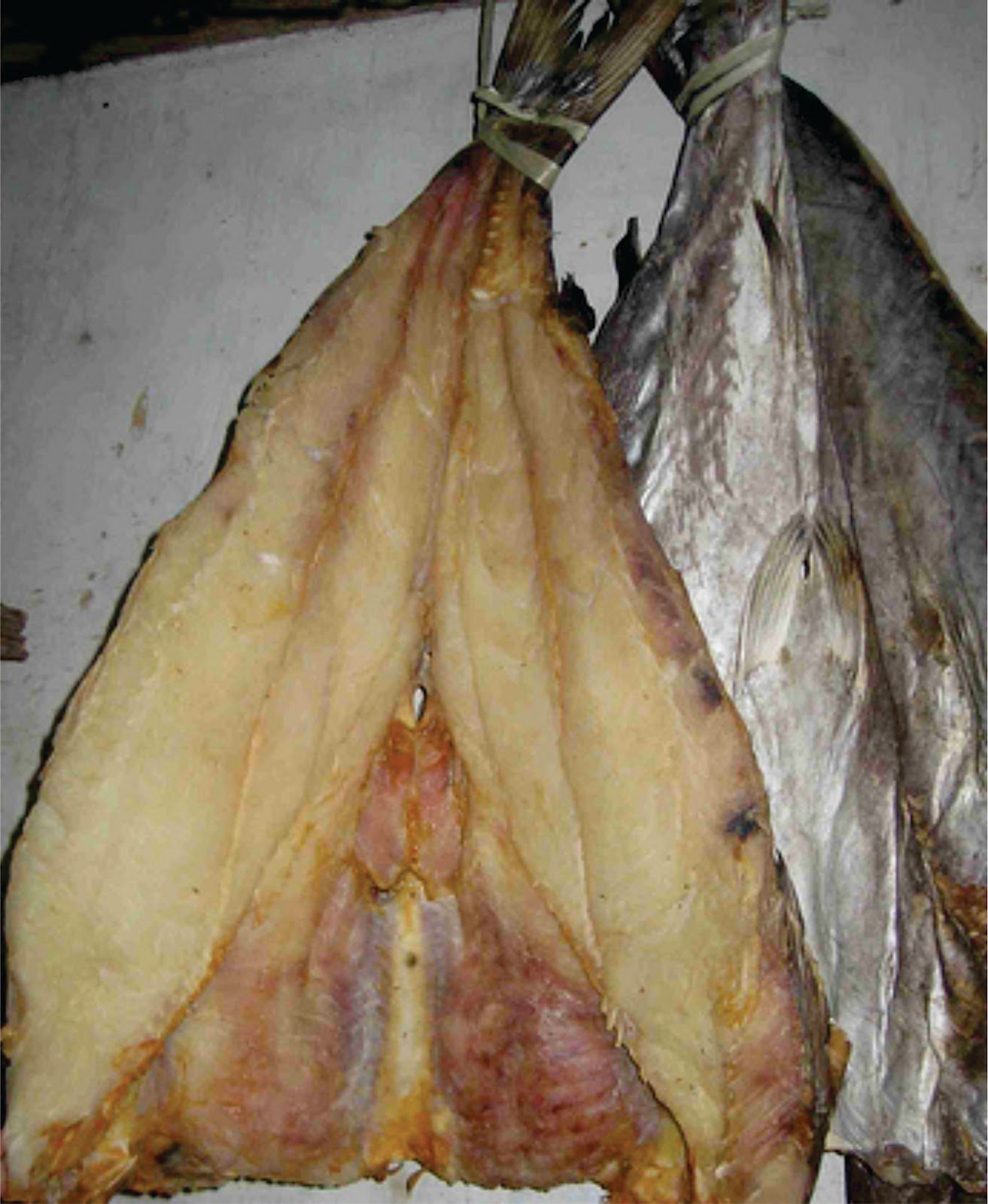CC U Ikan  Asin  Jambal Roti Indramayu