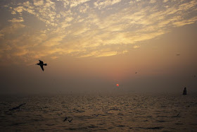 skywatch, sky, dawn, sunrise, sassoon docks, birds, arabian sea, mumbai , india, 
