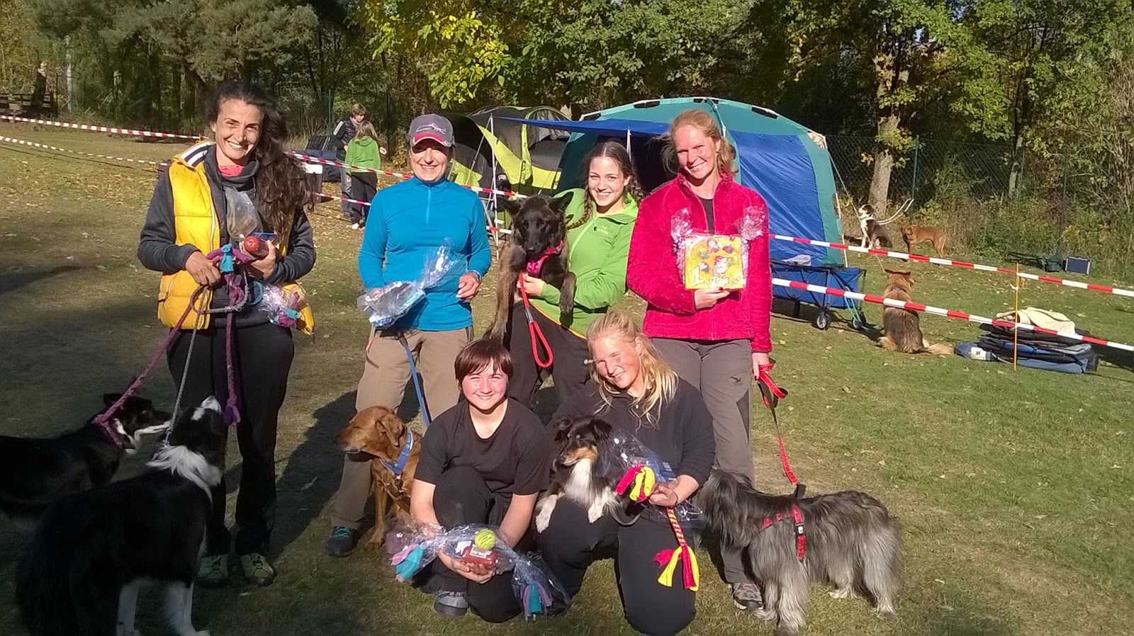 HSV Fetzige Hund� e.V. 10.11.10.2015 Agilityturnier beim GHV