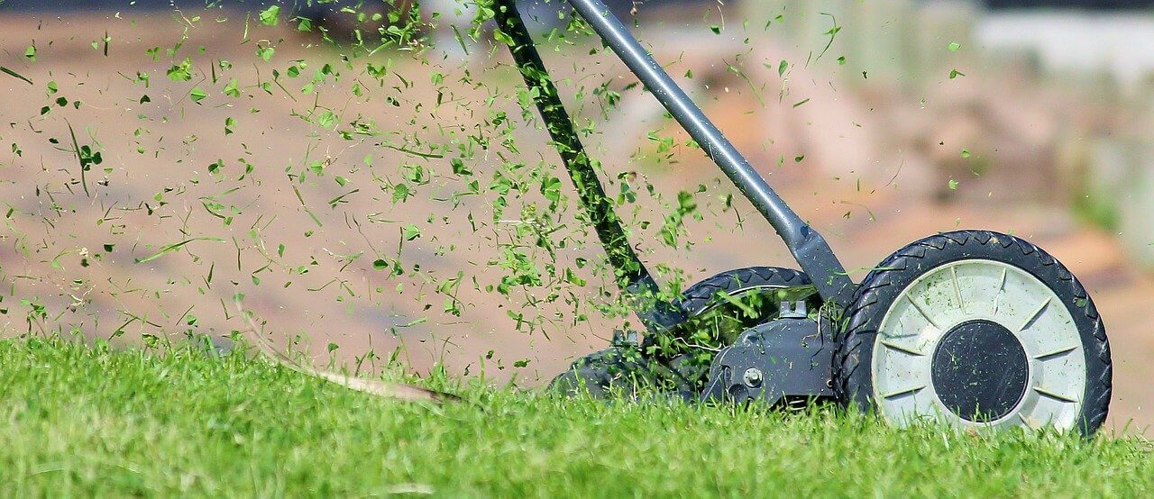 Tips to Keep Your Lawn Looking Good