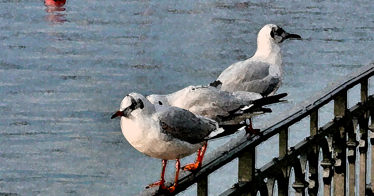 Spruch Des Tages 10 02 2019