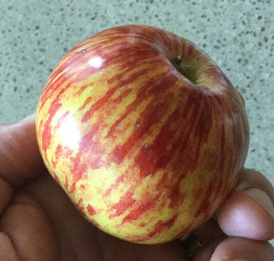 summer apple