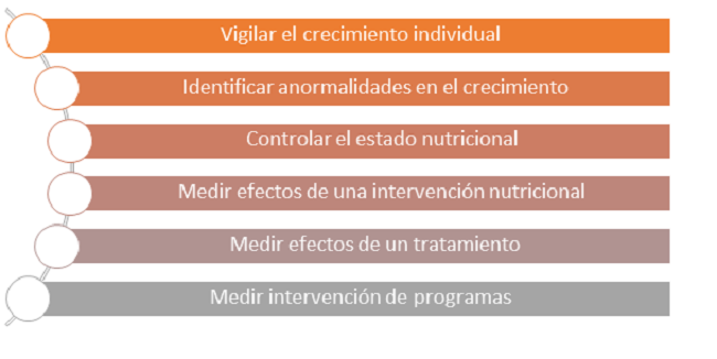 Para que me sirven las medidas antropometricas