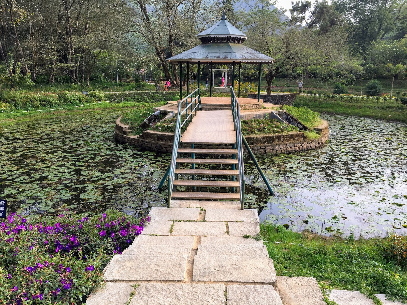 Road Trip to Munnar Tea Gardens, Sightseeing, Dams, and Wildlife