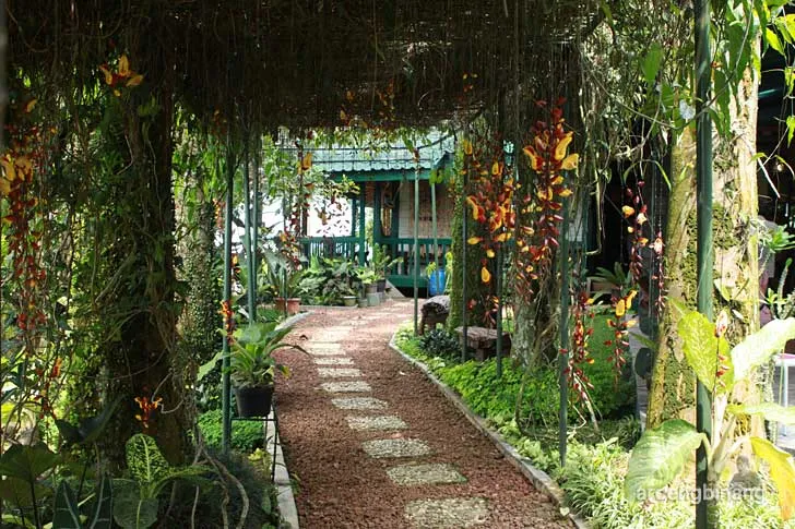 villa la lita gunung bunder