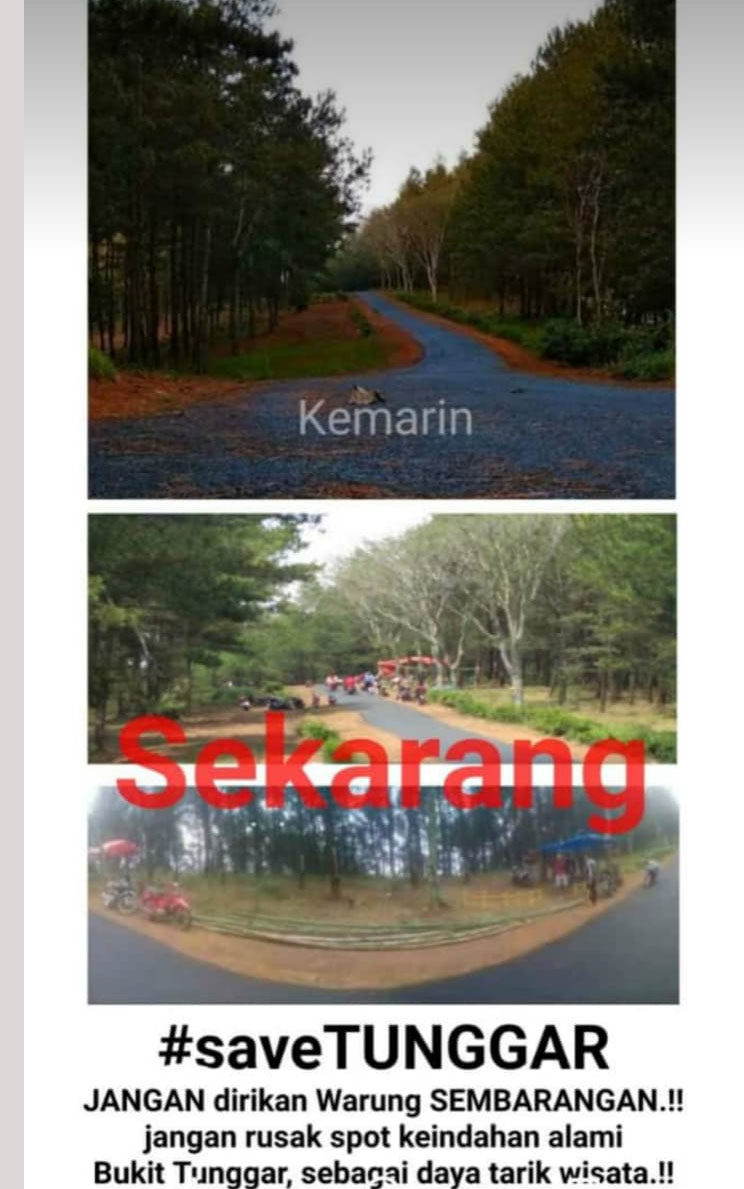 Bukit Tunggar Akankah Layu Sebelum Berkembang Sisnet Tv