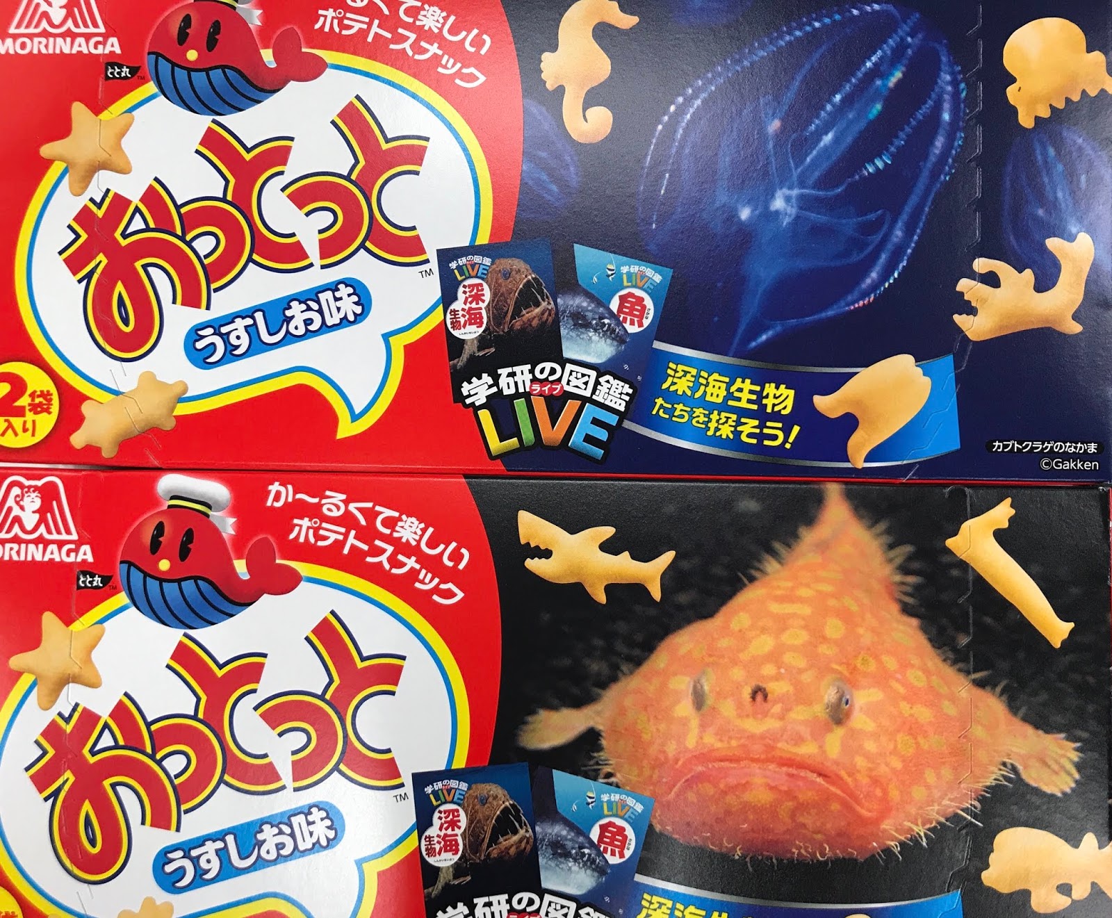 [学研LIVE]おっとっと「深海生物2020年度版」のシークレットを発見！[レア] 40歳ぐらいの雑談系日記