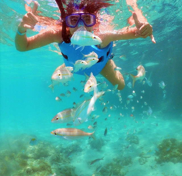 Parrachos de Maracajaú mulher jovem de snorkel mergulhando em um recife de corais