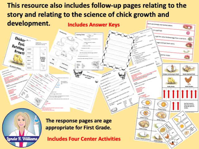 all about chickens kindergarten Kindergarten chicken activities