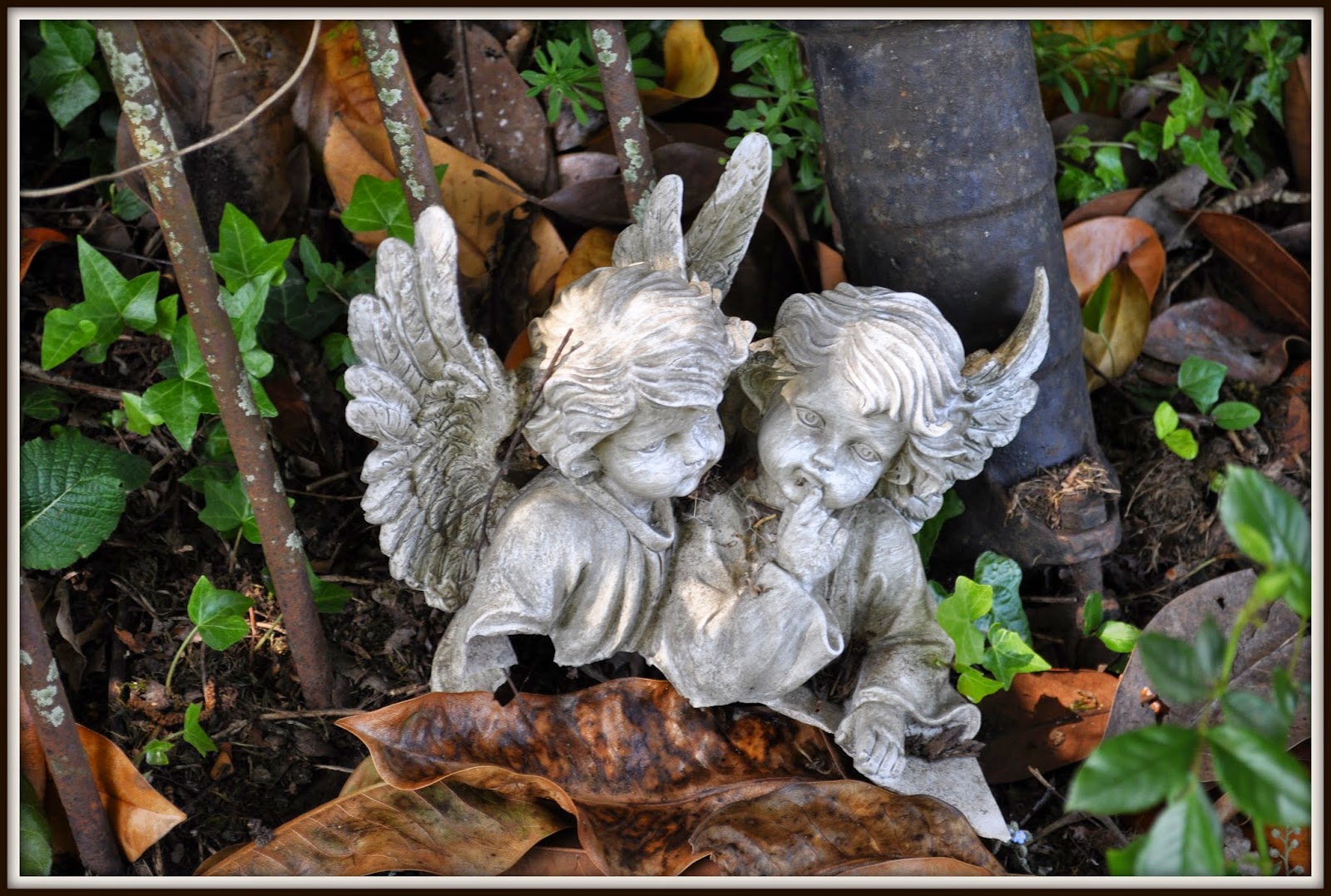 DUTCHCORNER My neighbours garden