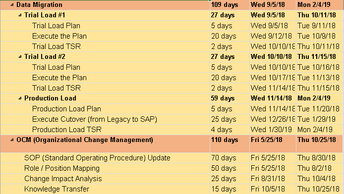 Data Migration and Change Management SAP Project Plan