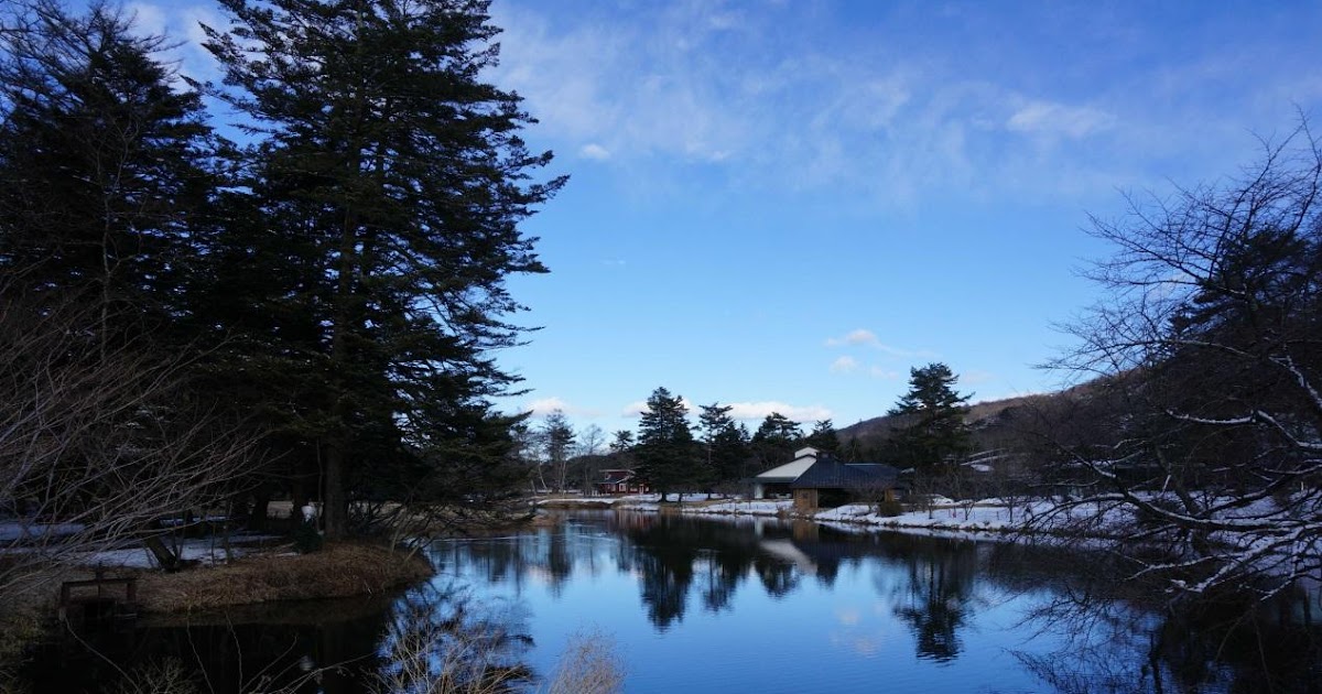 [問題] 元大台灣高股息優質龍頭基金