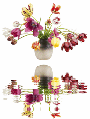 بستان ورد المصــــــــراوية - صفحة 76 1875241-496222-strange-selten-gestreift-verblasst-tulpen-in-einem-keramik-vase-isoliert