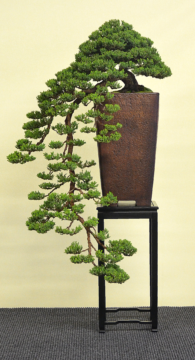 Bonsai Living Art International Bonsai and Kusamono Exhibition