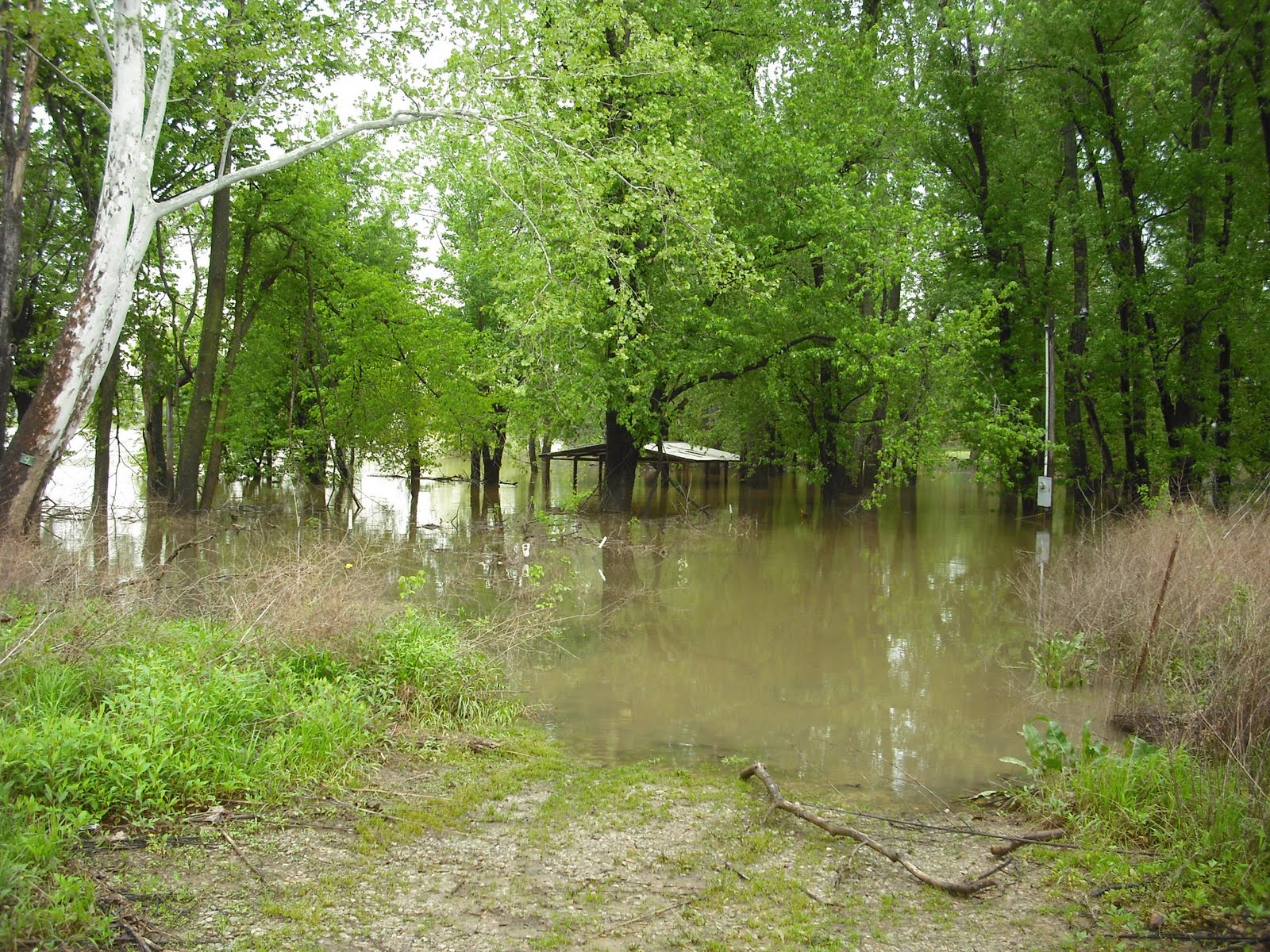 Kentucky Travels Green River is up in Calhoun!