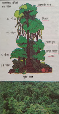 अध्याय 8 भारत