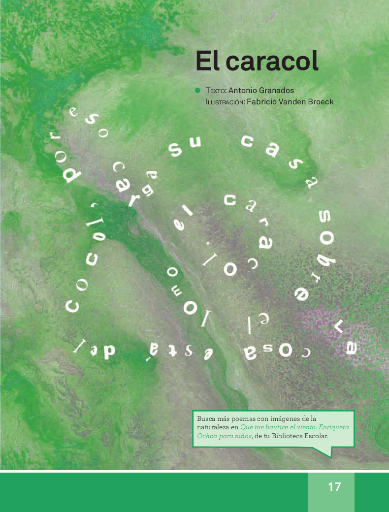El caracol - español lecturas 3ro 2014-2015