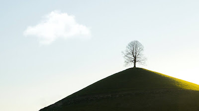 Alone Tree On Hill Nature Screen Background