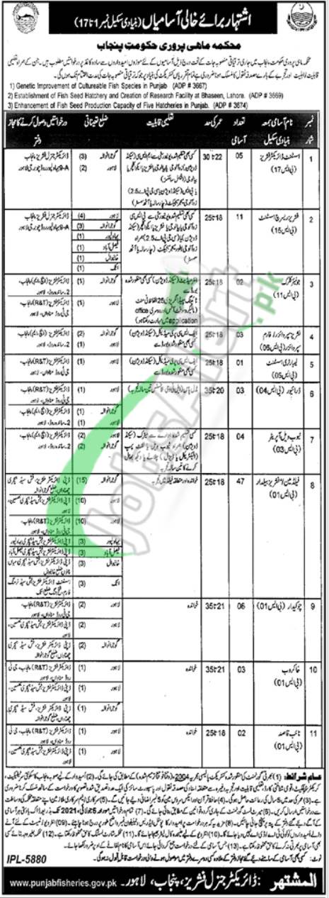 Today jobs in punjab fisheries department 2021 | latest Job Advertisement