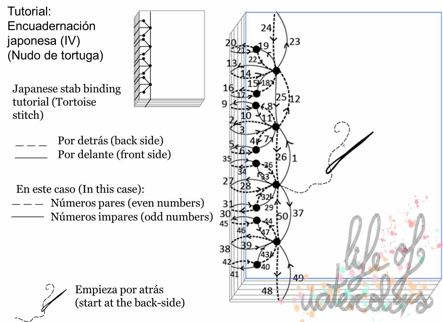Life of watercolors encuadernación japonesa IV tortoise stitch