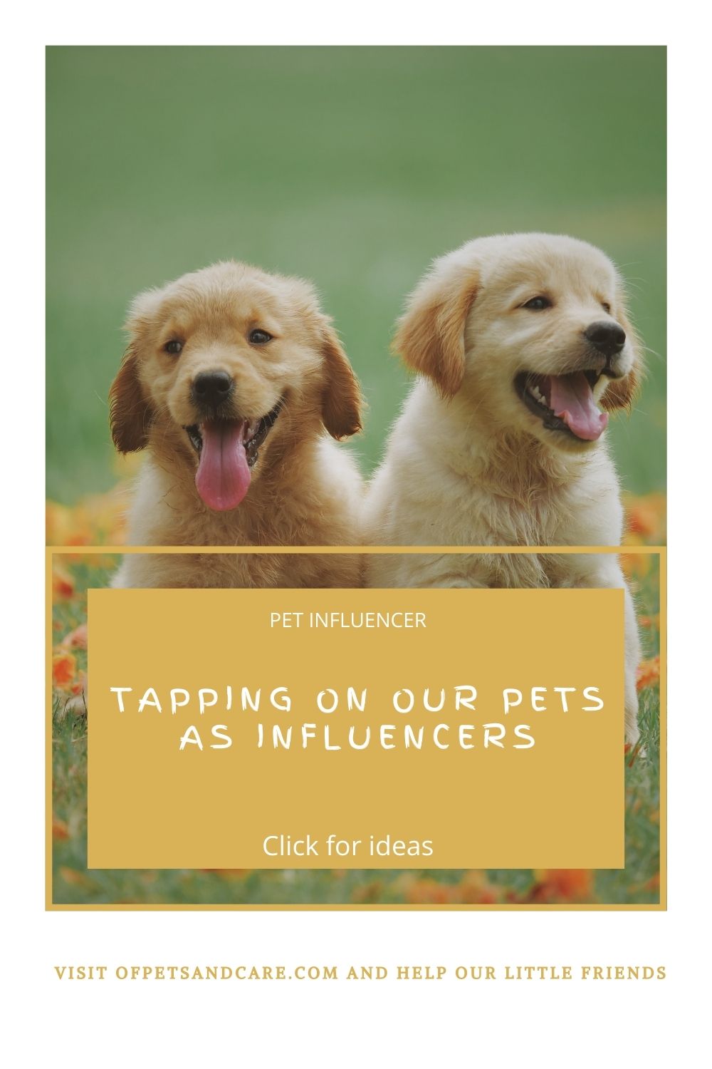 Tapping on our Pets as Influencers, puppies