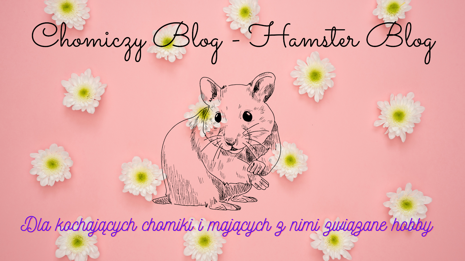 Chomiczy blog - Hamster Blog