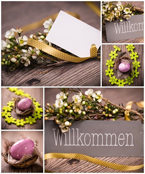 Flower and easter eggs on wood - Stock Photos Download