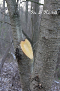 Idas Bloghaus: DIY Geldgeschenk für einen Angler
