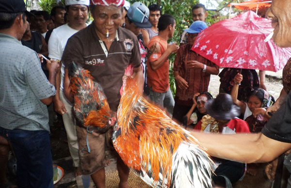 DAYAK BORNEO: UPACARA KEMATIAN WARA, SUKU DAYAK LAWANGAN