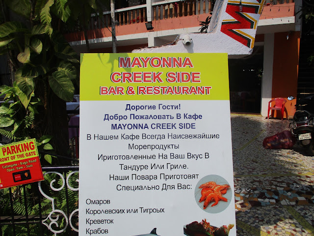 Chef Ted S Wanderin And A Ponderin