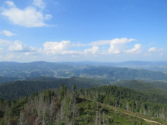 Panorama w stronę Beskidu Wyspowego.