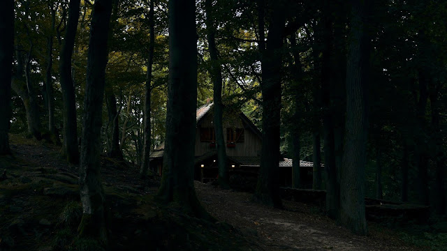 House, trees, forest, nature wallpaper.  Download free photo House, trees, forest, nature wallpaper.  Download free photo