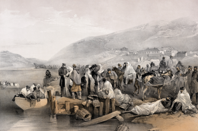 فلورنس نايتنجيل : حاملة المصباح وملكة الممرضات فلورنس نايتنجيل : حاملة المصباح وملكة الممرضات