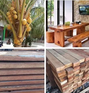 Kelebihan dan kekurangan kayu kelapa untuk furniture